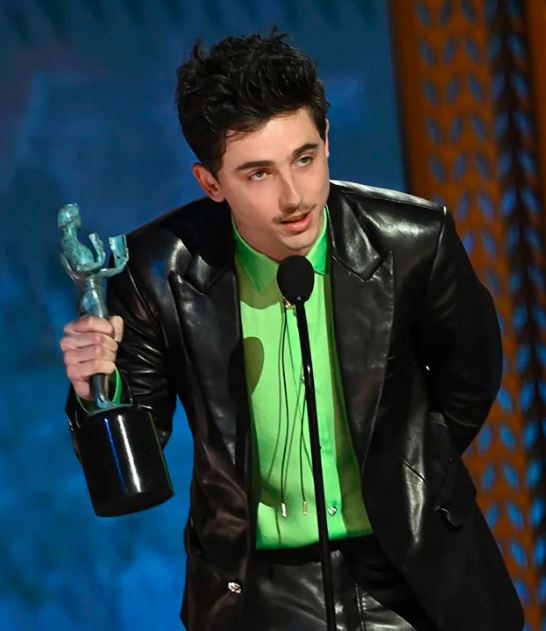 All Awards and Nominations list Recieved by Timothée Chalamet | All about Timothée Chalamet Awards and Nomination