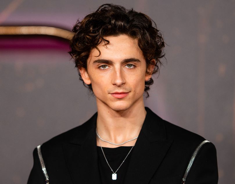 Timothée Chalamet Movies, Awards, Career, Facts and Future Projects 2026 Updated