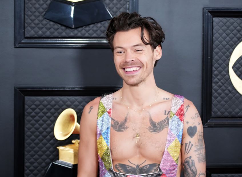 What is Net worth of Harry Styles? | All about of Harry Styles Net worth | What is Income sources of Harry Styles? | All about of Harry Styles Income sources in 2026